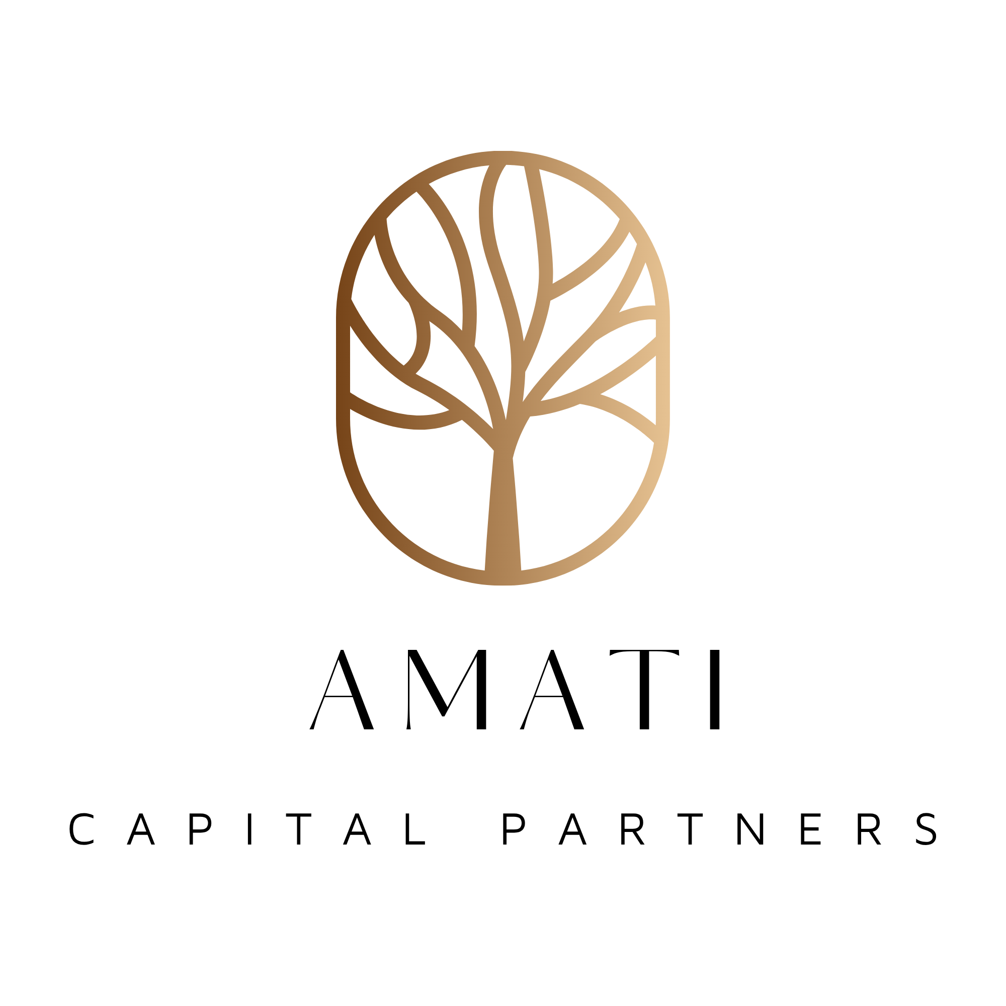 Amati Capital Partners