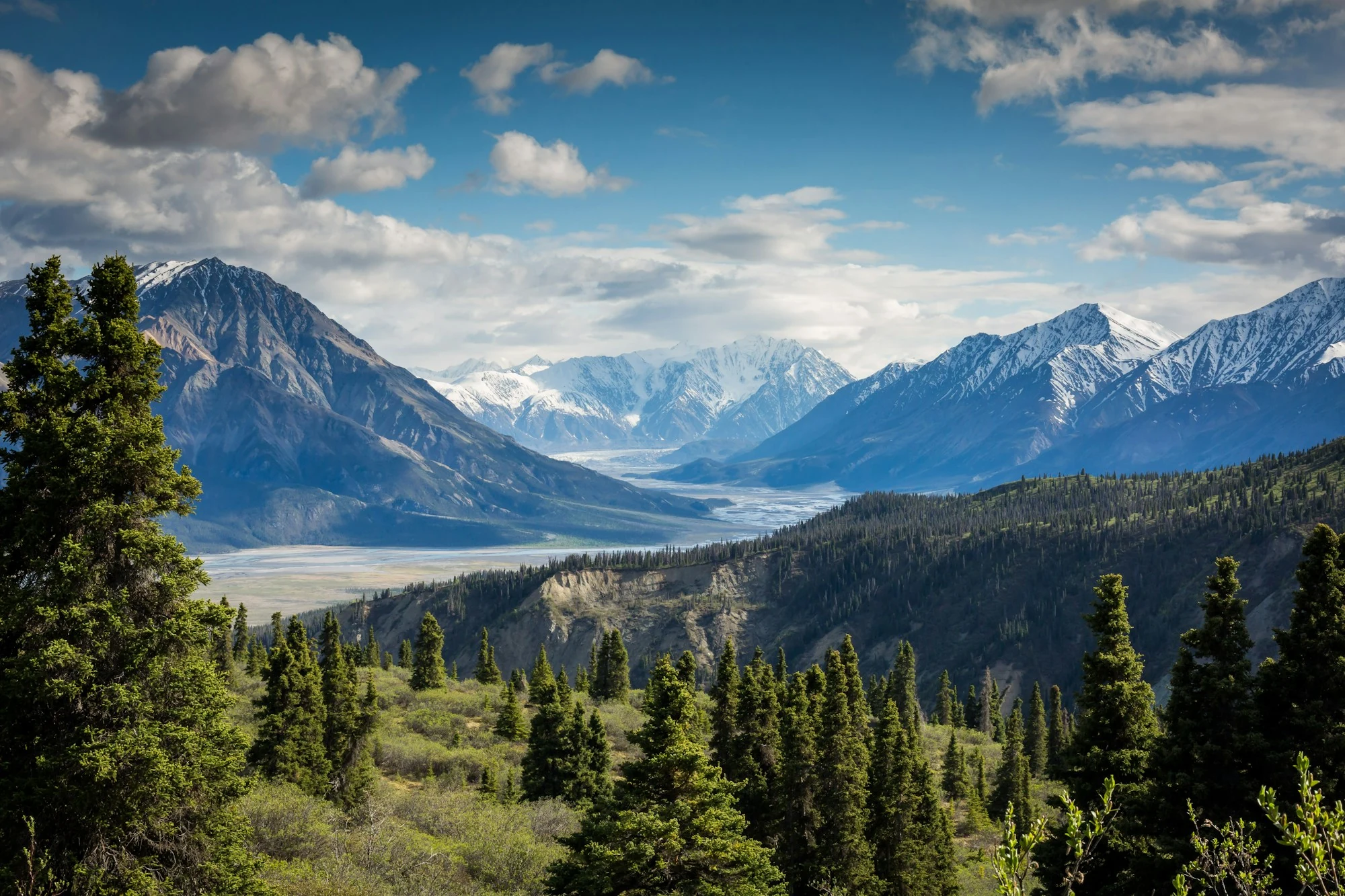 A mountain summit rising above a forested valley