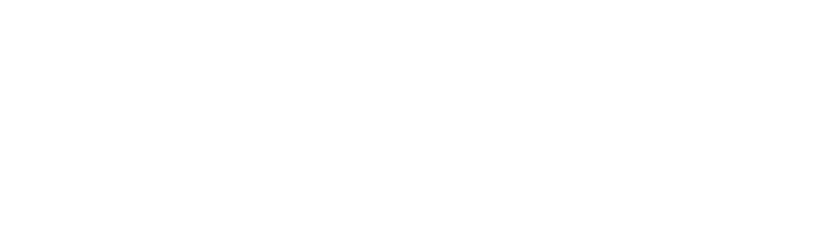 Investment Solutions Partners